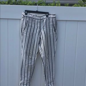 Ann Taylor Loft pants